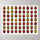 Search for bug posters Cool