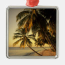 Search for caribbean the christmas tree decorations Sand