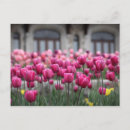 Search for valentines day mothers day cards Floral