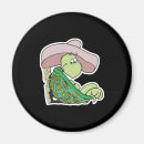 Search for tortoise magnets Slow