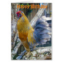Search for bird birthday invitations Orange