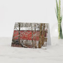 Search for and covers cards Covered bridge