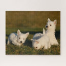 Search for west highland terrier puzzles Animal