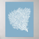 Search for sea fan art Blue