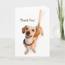 Search for wags cards Pet
