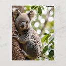 Search for climbing tree postcards Wildlife