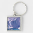Search for antarctica key rings Nature