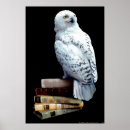 Search for book posters Back to school