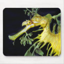 Search for aquatic mousepads Coastal