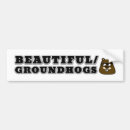 Search for beauty bumper stickers Humour