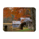 Search for large format cards Fall