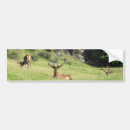 Search for antlers bumper stickers Hunter