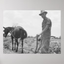 Search for working farm posters Photography