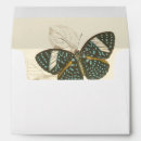 Search for butterfly envelopes Nature