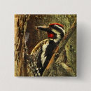 Search for bellis badges Bird