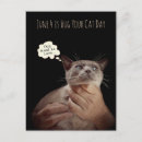 Search for cat hug cards Humour