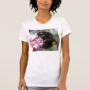 Search for lady bug photography Flowers