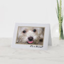 Search for secret invitations Celebration