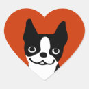Search for boston terrier valentine Dog