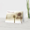 Search for unusual cards Photography