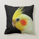Search for cockatiel cushions Bird