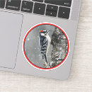 Search for white birch stickers Snow