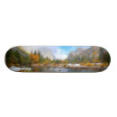 Search for three skateboards Scenics