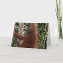Search for hairdo cards Funny