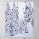 Search for snow covered trees posters Outdoors