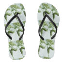 Search for insects shoes Nature