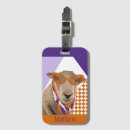 Search for of sheep Sweet
