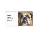 Search for english bulldog return address labels Brown