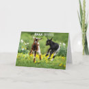 Search for wife 50th birthday cards Funny