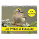 Search for ladybug calendars Macro