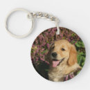 Search for flat round key rings Puppy