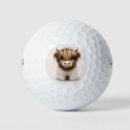 Search for scottish golf balls Scottish highland cow