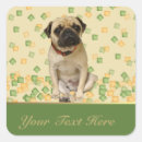 Search for adopt labels Canine