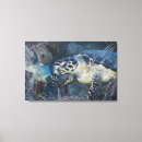 Search for hawksbill art Wildlife