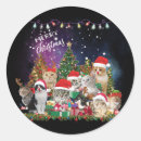 Search for merry christmas cat stickers Reindeer