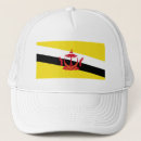 Search for abode Flag of brunei