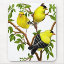 Search for birdwatcher mousepads Birds