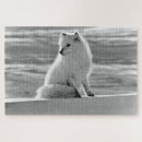 Search for arctic fox puzzles Alaska