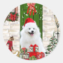 Search for spitz stickers Pet