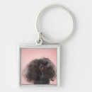 Search for front and key rings In front of