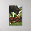 Search for newborn canvas prints Animal