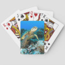Search for turtle playing cards Chelonia