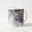Search for ragdoll cats mugs Animal