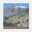 Search for highway magnets Forest