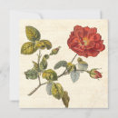 Search for flora square invitations Anniversary