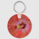 Search for orange hibiscus key rings Plant